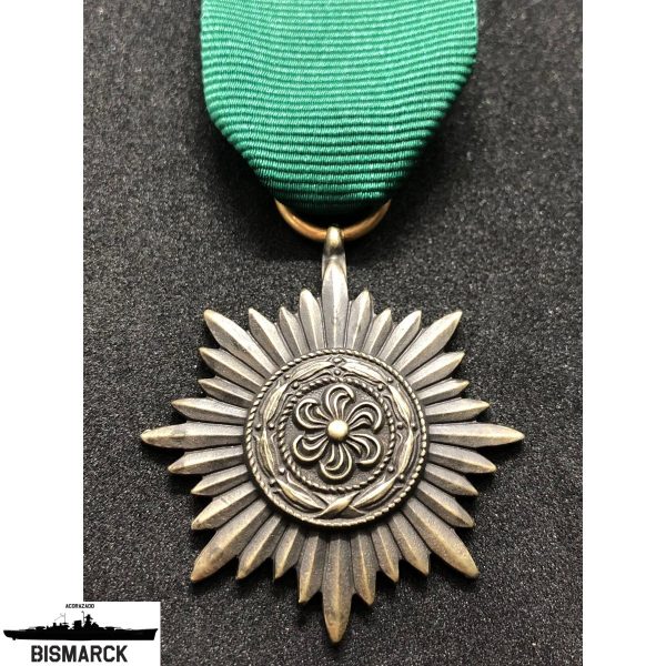 medalla ostvolk en bronce