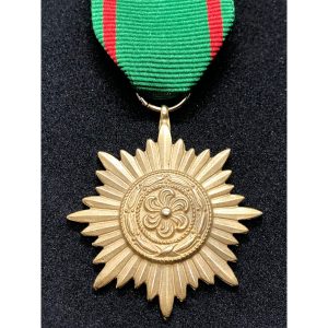 Medalla de segunda clase Ostvolk (oro)