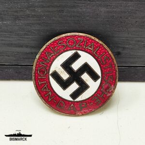 PIN NSDAP M1/101