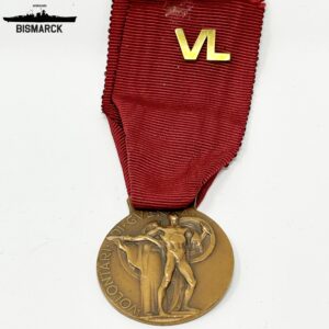MEDALLA VOLUNTARIOS ITALIA 1915-18